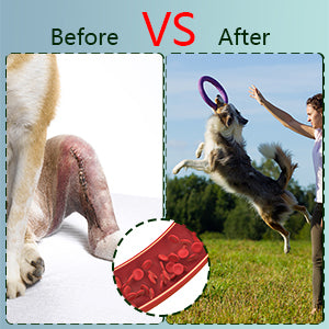 Pets, Arthritis Treatment, Pain Relief, Red Light Therapy, Portable.
