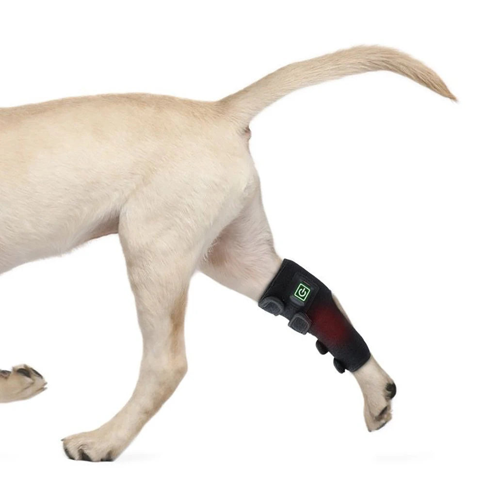 Pet-Infrared and Red Light Therapy for Dogs, Vet Infrared Light Therapy for Pet Arthritis Pain Relief