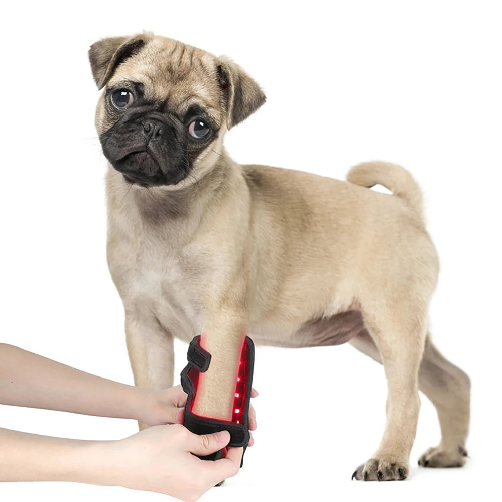 Pet-Infrared and Red Light Therapy for Dogs, Vet Infrared Light Therapy for Pet Arthritis Pain Relief