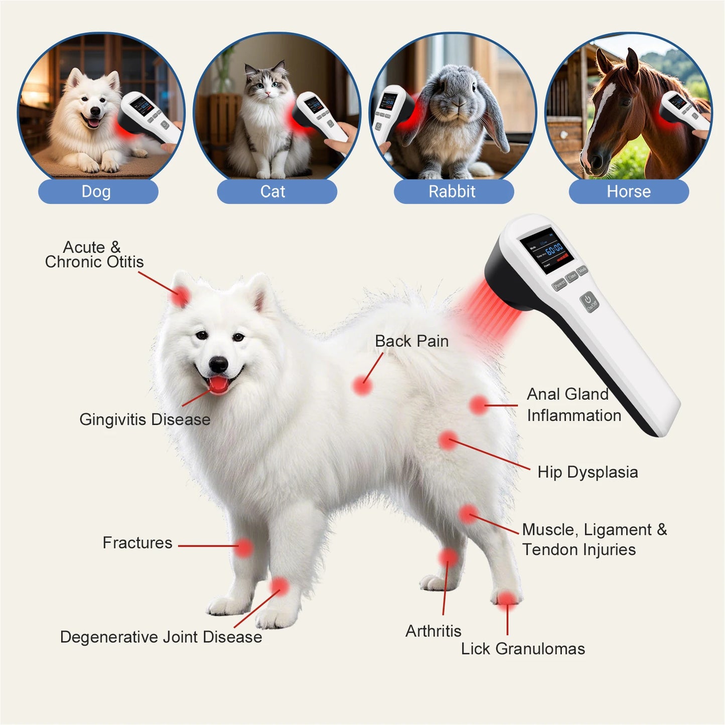 Cold Laser therapy, red light, or Muscle Recovery & Inflammation Reduction