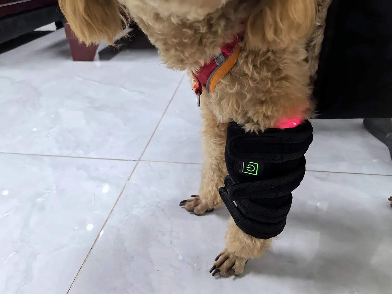 Pet-Infrared and Red Light Therapy for Dogs, Vet Infrared Light Therapy for Pet Arthritis Pain Relief