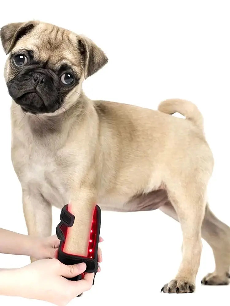 Pet-Infrared and Red Light Therapy for Dogs, Vet Infrared Light Therapy for Pet Arthritis Pain Relief
