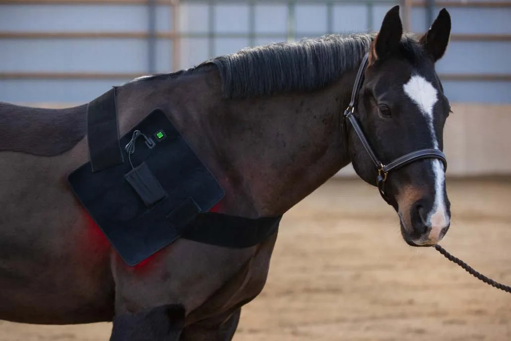 LED Red Infrared Light, Equestrian Horse, Leg Hoof Boot, Therapy Wrap