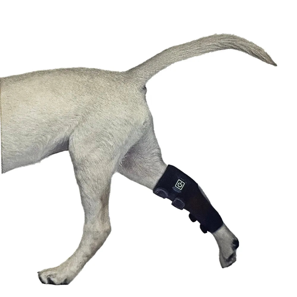Dog/Cat Leg Wrap, Red Light Therapy, Pain Relief