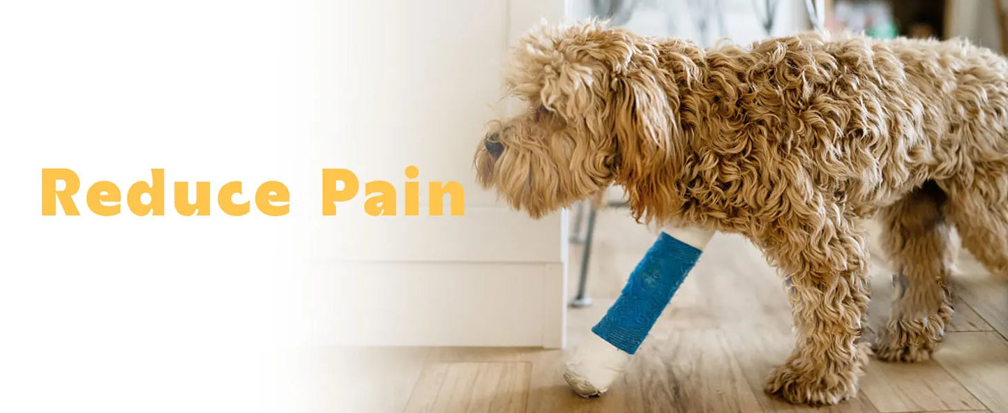 KTS Laser Therapy for Dogs, Veterinary Equipment for Joint Muscle Pain Relief&Inflammation