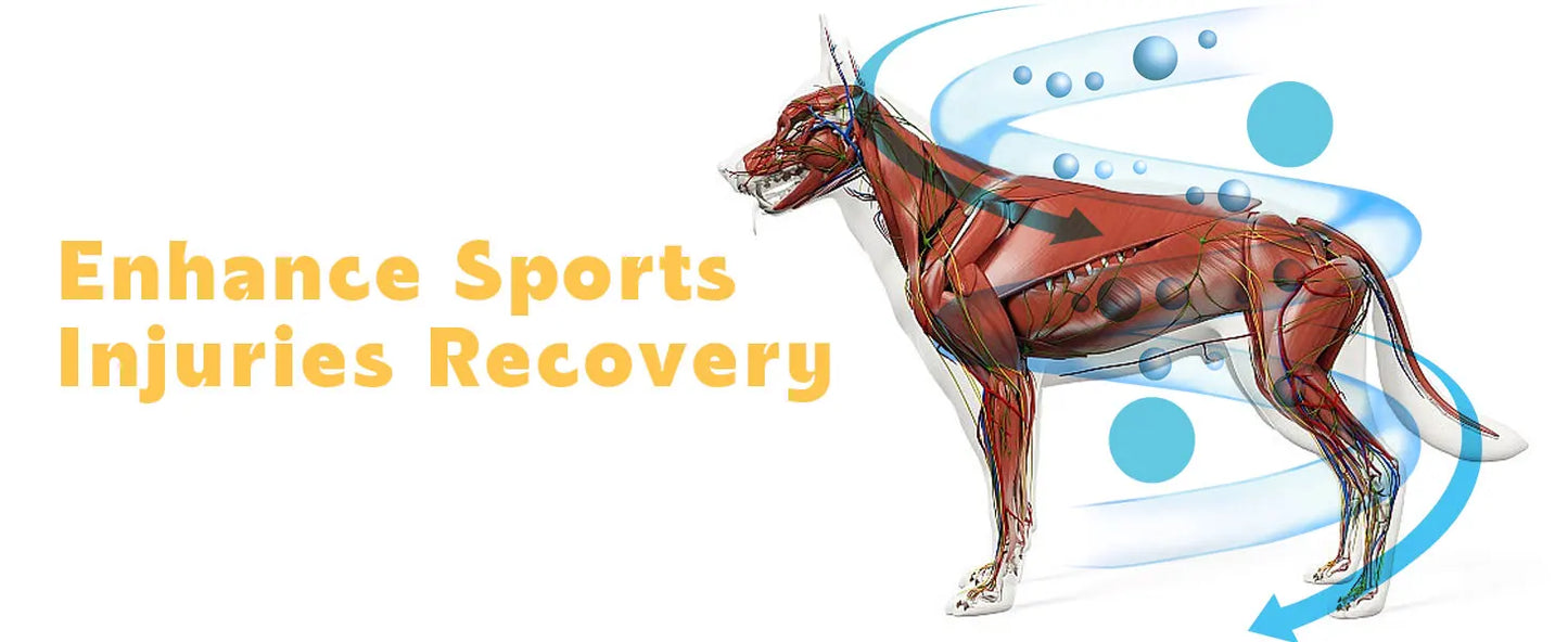KTS Laser Therapy for Dogs, Veterinary Equipment for Joint Muscle Pain Relief&Inflammation