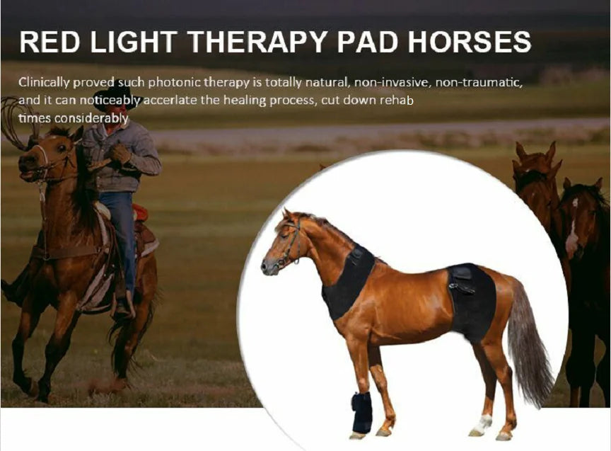 LED Red Infrared Light, Equestrian Horse, Leg Hoof Boot, Therapy Wrap