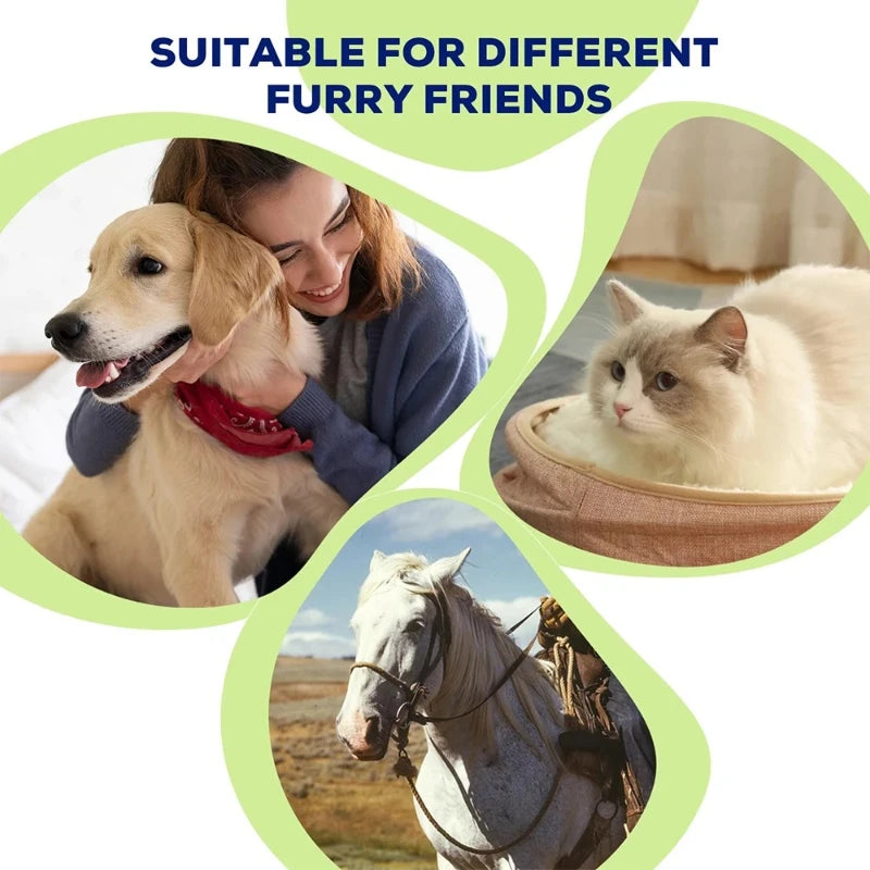 Pet Red light LED therapy, physiotherapy veterinarian equipment for Pet, dog pain relief (Medium)