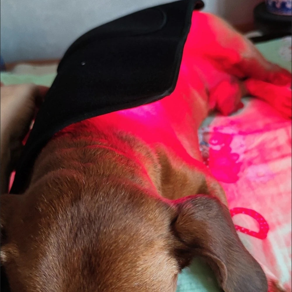 Red Light Therapy Belt Wrap for Dogs/Cats/Medium