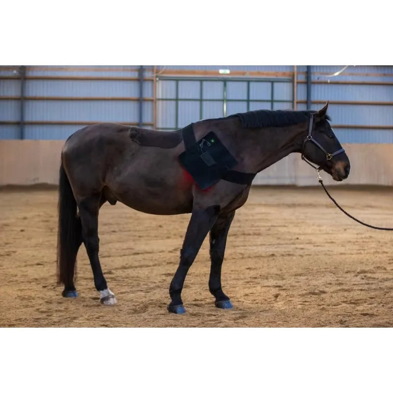 LED Red Infrared Light, Equestrian Horse, Leg Hoof Boot, Therapy Wrap