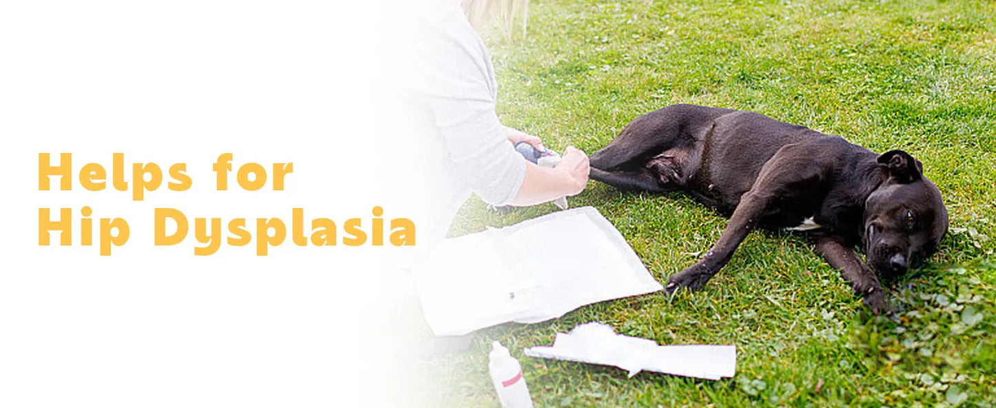 KTS Laser Therapy for Dogs, Veterinary Equipment for Joint Muscle Pain Relief&Inflammation