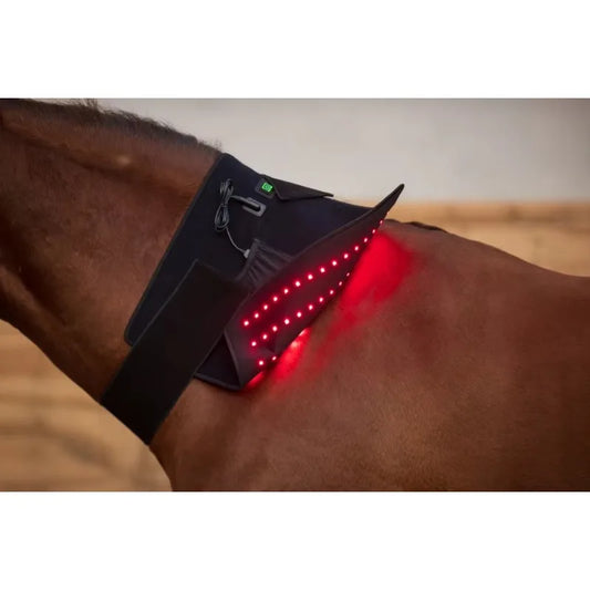 LED Red Infrared Light, Equestrian Horse, Leg Hoof Boot, Therapy Wrap