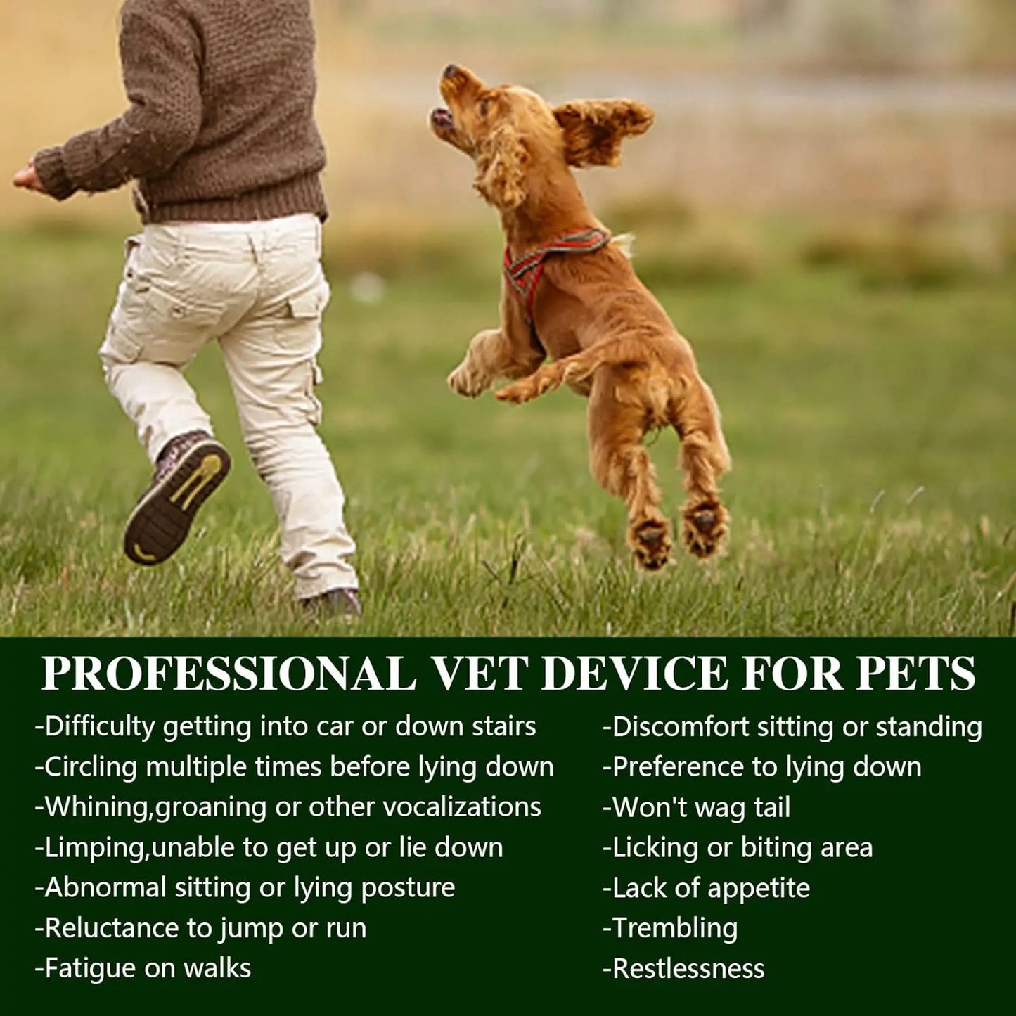 Pets, Arthritis Treatment, Pain Relief, Red Light Therapy, Portable.