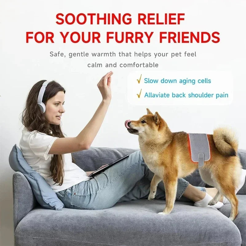 Pet Red light LED therapy, physiotherapy veterinarian equipment for Pet, dog pain relief (Medium)