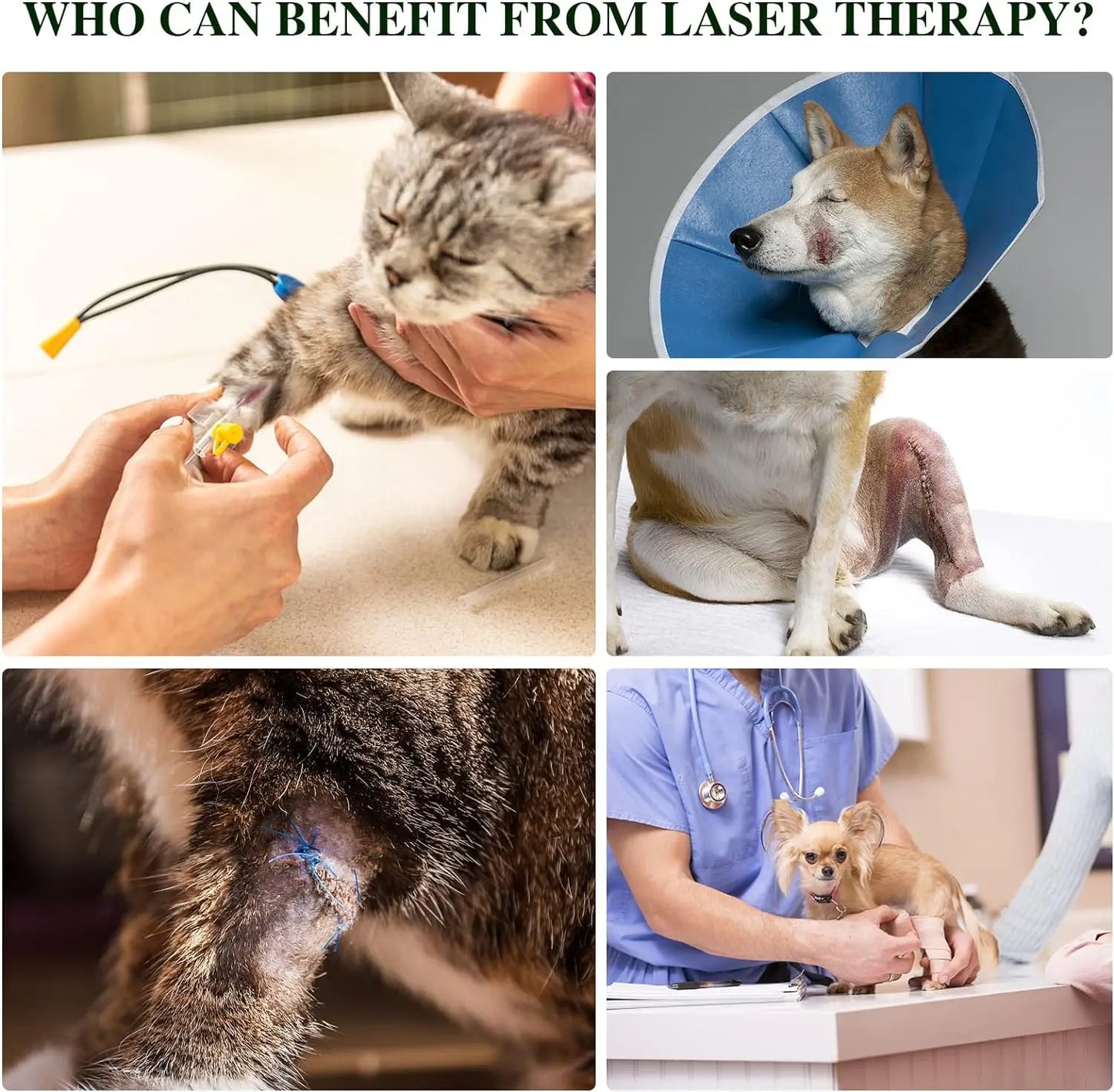 Pets, Arthritis Treatment, Pain Relief, Red Light Therapy, Portable.