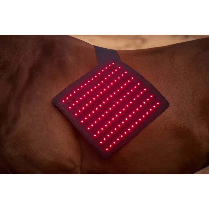 LED Red Infrared Light, Equestrian Horse, Leg Hoof Boot, Therapy Wrap