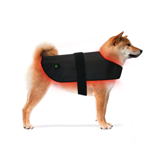 Pet red light infrared therapy device for cats and dogs, back and abdomen injuries, fracture healing, portable timing