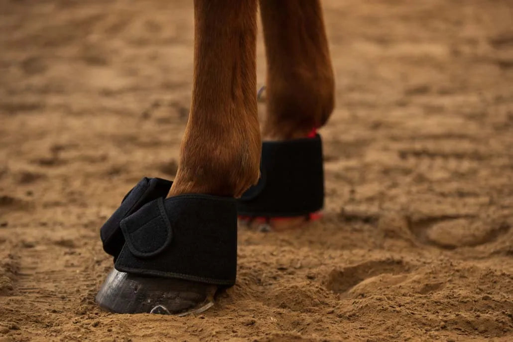 LED Red Infrared Light, Equestrian Horse, Leg Hoof Boot, Therapy Wrap