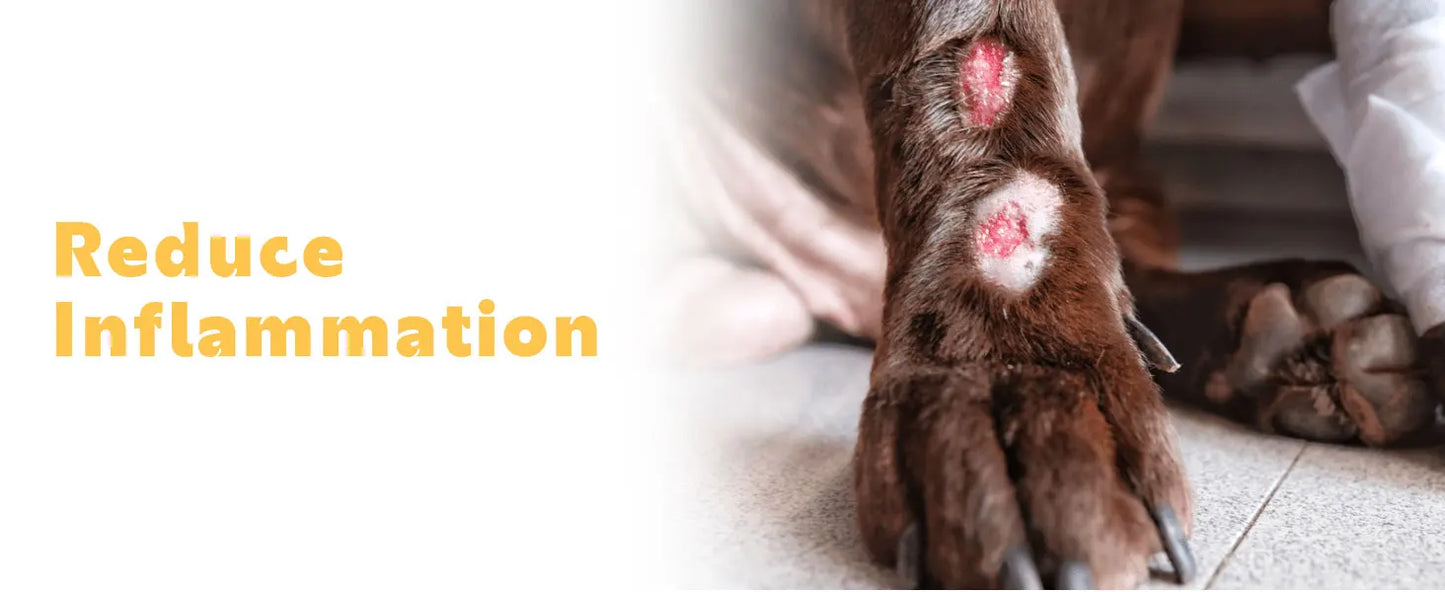 KTS Laser Therapy for Dogs, Veterinary Equipment for Joint Muscle Pain Relief&Inflammation
