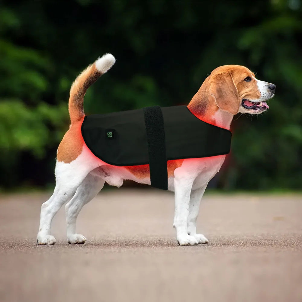 Pet red light infrared therapy device for cats and dogs, back and abdomen injuries, fracture healing, portable timing