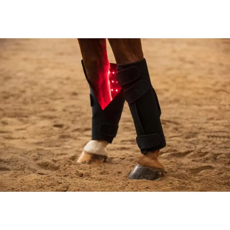 LED Red Infrared Light, Equestrian Horse, Leg Hoof Boot, Therapy Wrap