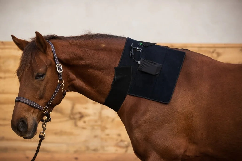 LED Red Infrared Light, Equestrian Horse, Leg Hoof Boot, Therapy Wrap