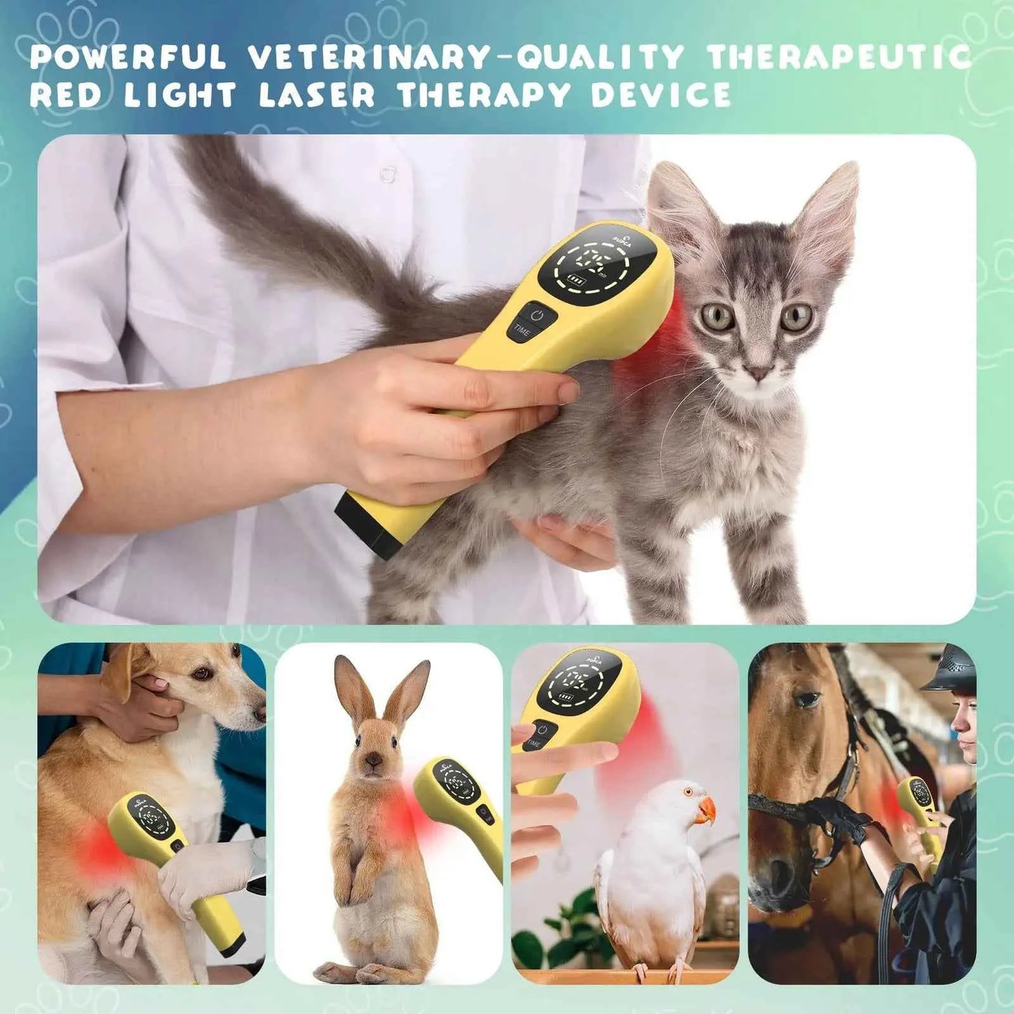 Pet Pain Relief  650nm 808nm, Cold Low Level Laser, Red Light Therapy Device, Dog, Cat  Physical Muscle Therapy Equipment