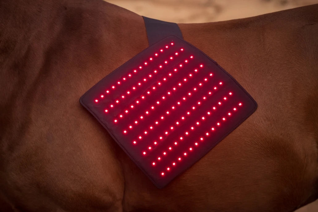 LED Red Infrared Light, Equestrian Horse, Leg Hoof Boot, Therapy Wrap