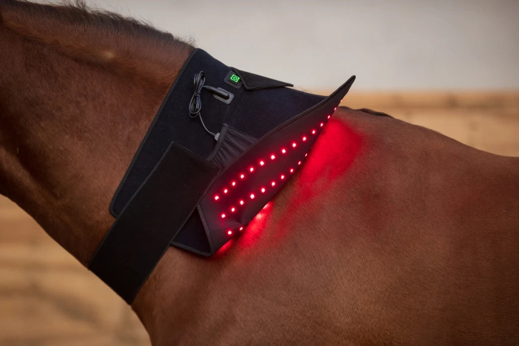 LED Red Infrared Light, Equestrian Horse, Leg Hoof Boot, Therapy Wrap