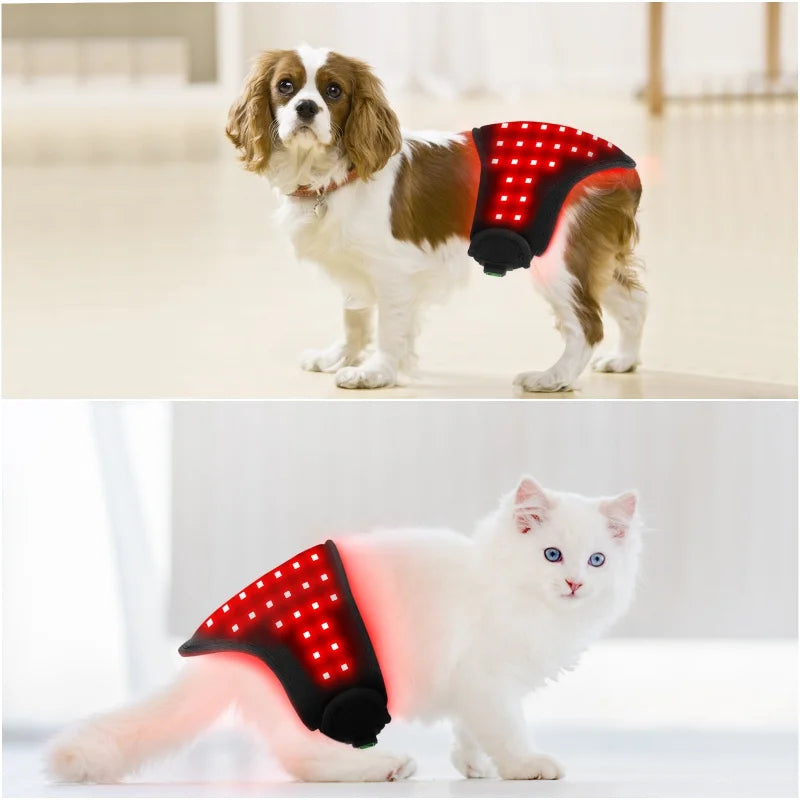 Pet Wearable body wrap, red light therapy, belt for pet