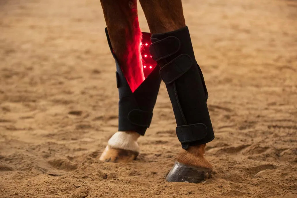 LED Red Infrared Light, Equestrian Horse, Leg Hoof Boot, Therapy Wrap