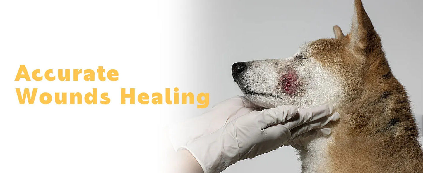KTS Laser Therapy for Dogs, Veterinary Equipment for Joint Muscle Pain Relief&Inflammation