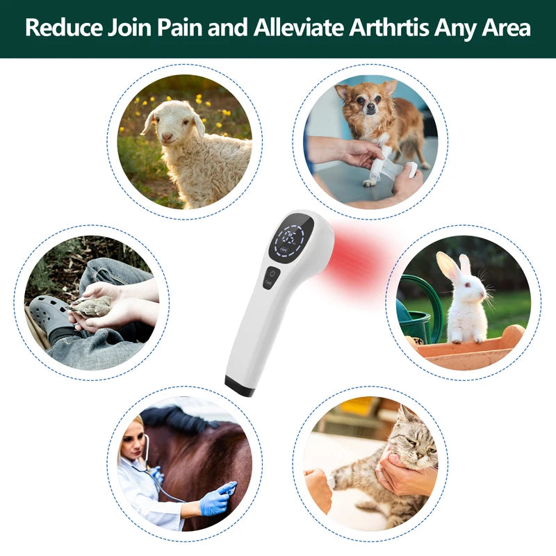 Laser Therapy for Dogs, Pain Relief&Wound Healing&Joint/Muscle Stiffness Handheld