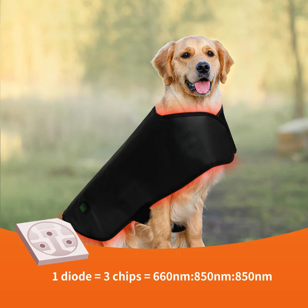 Pet red light infrared therapy device for cats and dogs, back and abdomen injuries, fracture healing, portable timing