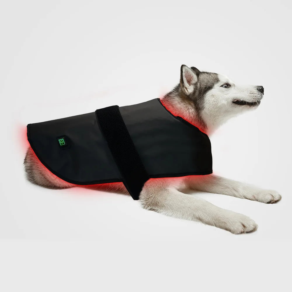 Pet red light infrared therapy device for cats and dogs, back and abdomen injuries, fracture healing, portable timing