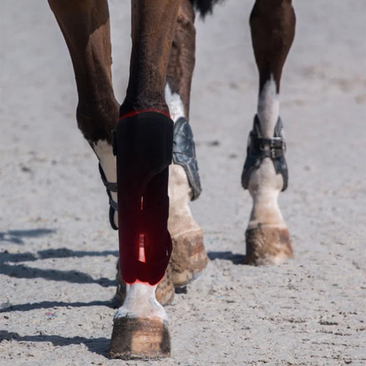 Physical horse Hoof, Infrared Red Light Therapy Pad, Mat for Pet High Quality PDT Therapy, Tendon Boot 660nm 850nm
