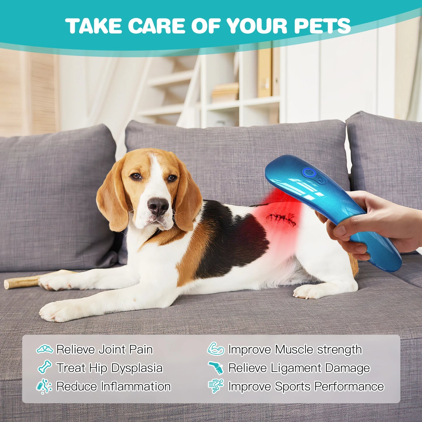 KTS Laser Therapy for Dogs, Veterinary Equipment for Joint Muscle Pain Relief&Inflammation