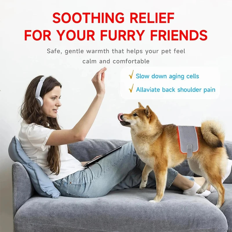 Pet Red light LED therapy, physiotherapy veterinarian equipment for Pet, dog pain relief (Medium)