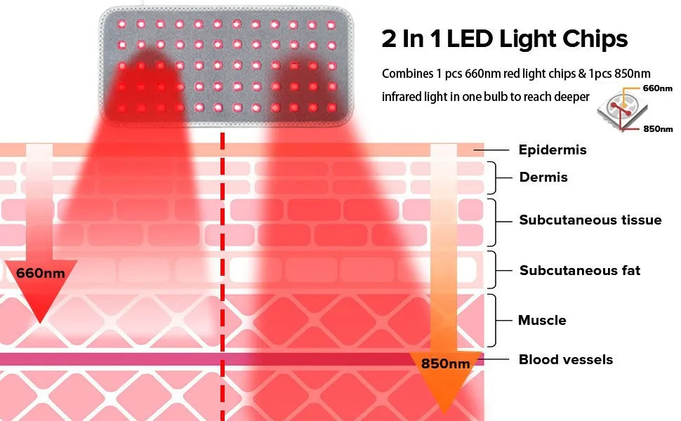 Red Light Therapy Belt Wrap for Dogs/Cats/Medium
