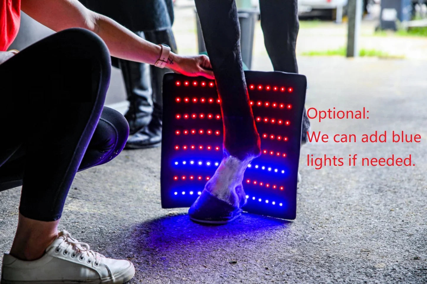LED Red Infrared Light, Equestrian Horse, Leg Hoof Boot, Therapy Wrap