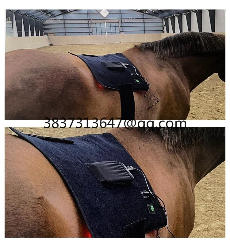 Bestselling  Horse Red Light Therapy