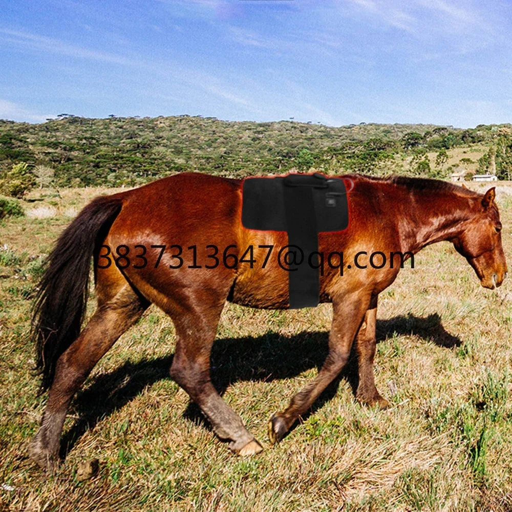 Bestselling  Horse Red Light Therapy