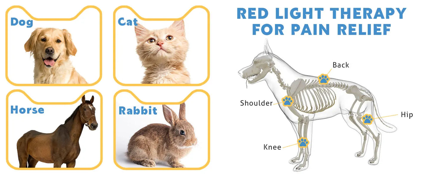 KTS Laser Therapy for Dogs, Veterinary Equipment for Joint Muscle Pain Relief&Inflammation