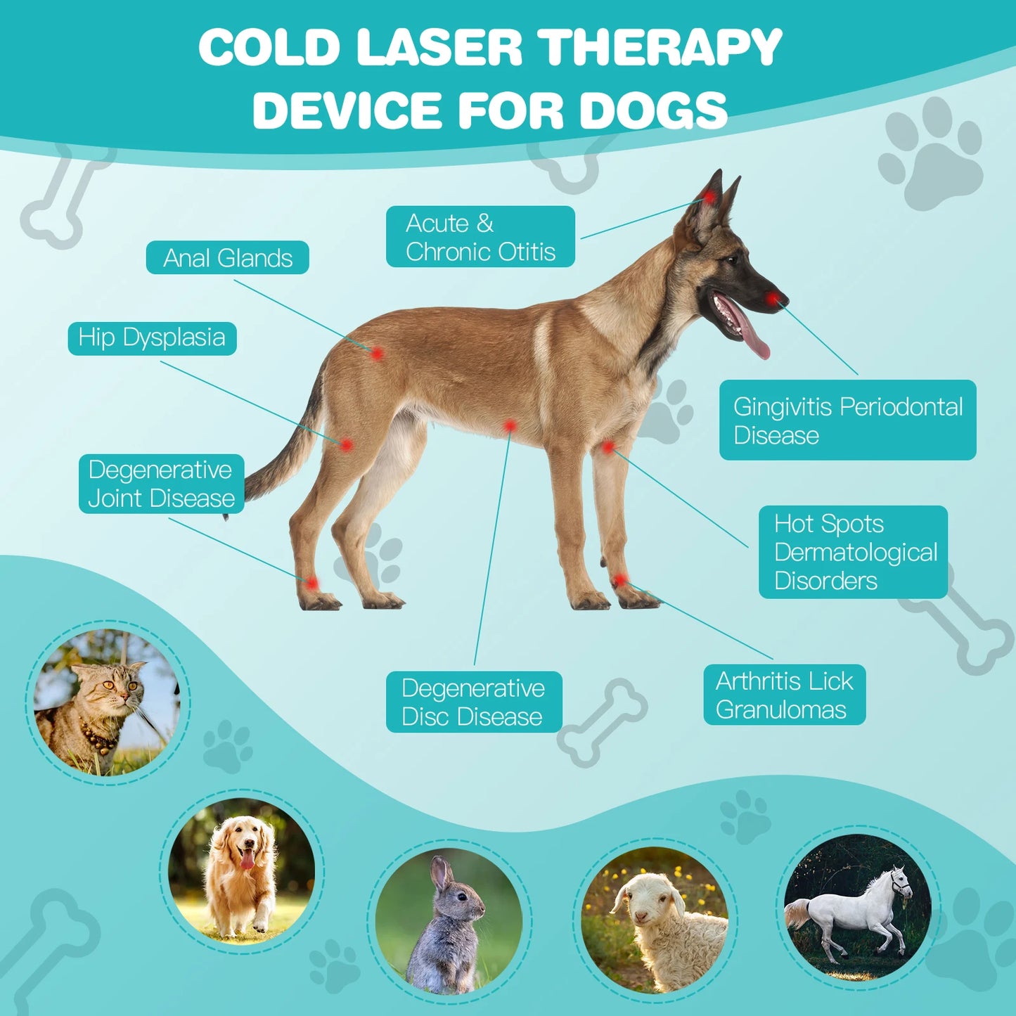 KTS Laser Therapy for Dogs, Veterinary Equipment for Joint Muscle Pain Relief&Inflammation
