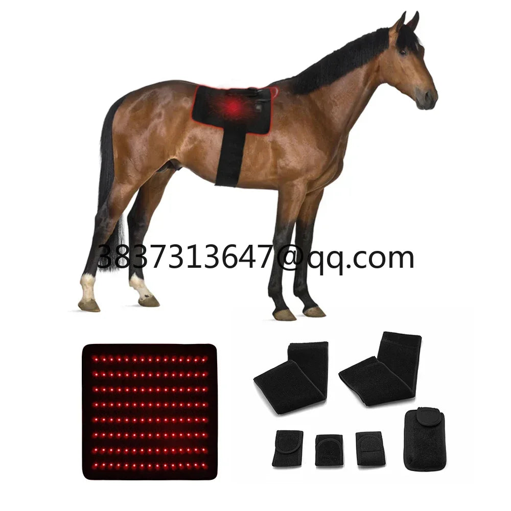 Bestselling  Horse Red Light Therapy