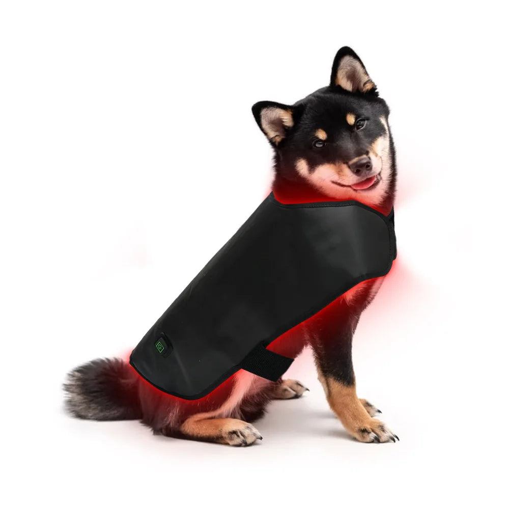 Pet red light infrared therapy device for cats and dogs, back and abdomen injuries, fracture healing, portable timing