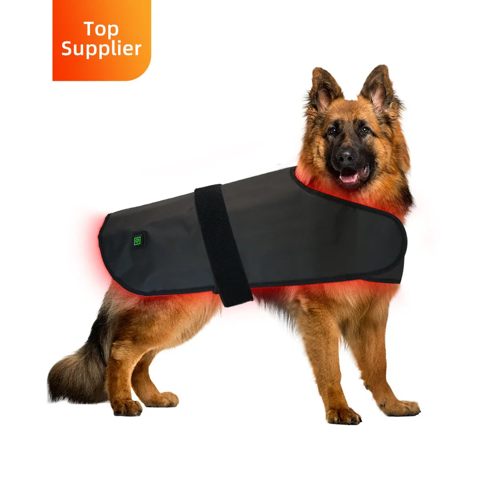 Pet red light infrared therapy device for cats and dogs, back and abdomen injuries, fracture healing, portable timing