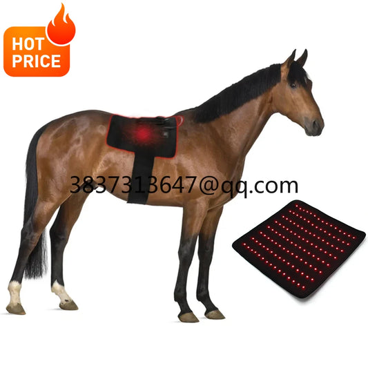 Bestselling  Horse Red Light Therapy