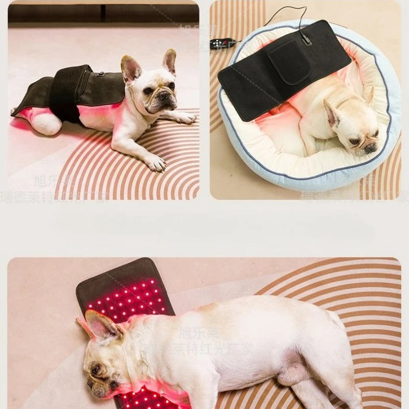 Red Light Therapy Belt Wrap for Dogs/Cats/Medium
