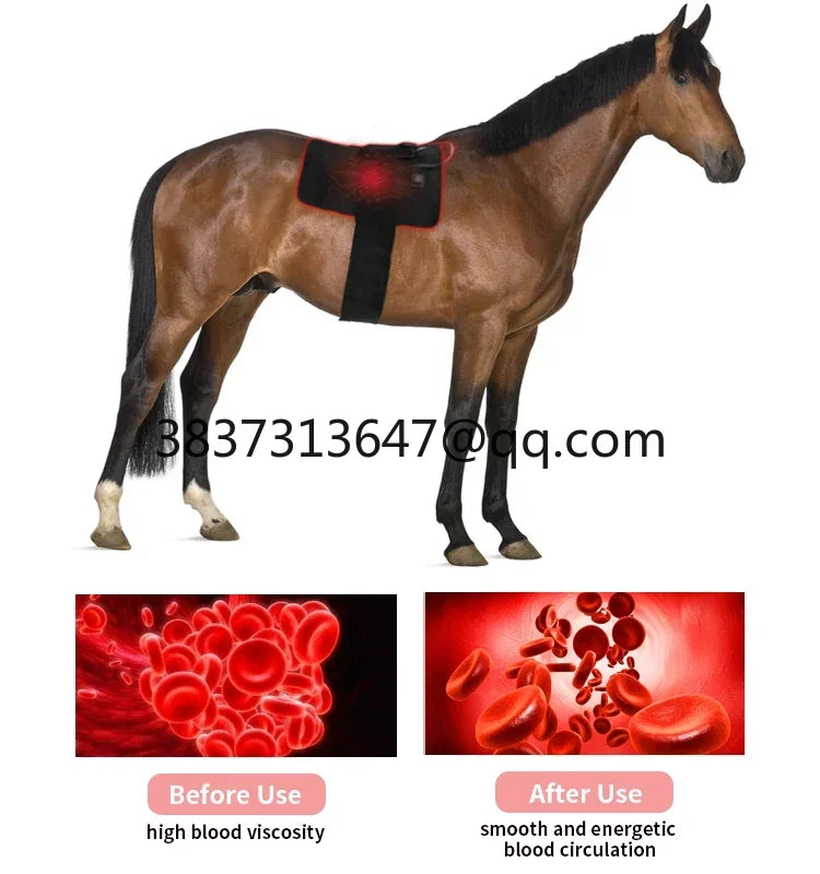 Bestselling  Horse Red Light Therapy